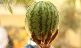 大娱乐吃瓜,大娱乐吃瓜，揭秘明星幕后故事